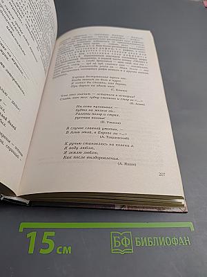 Русская словесность, 10-11 классы