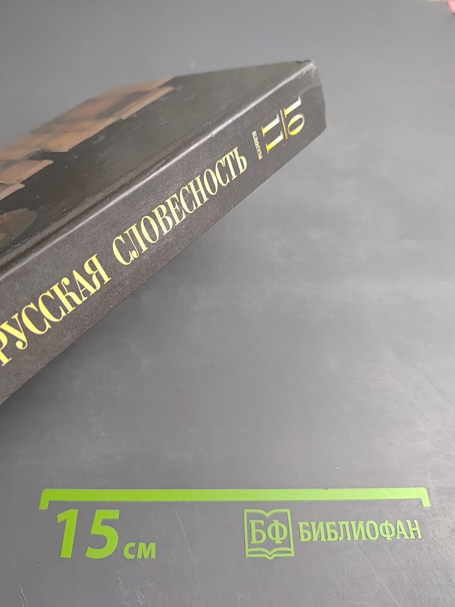 Русская словесность, 10-11 классы