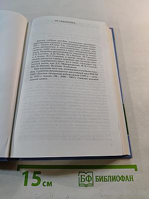 История русской литературы конца XIX - начала XX века. Том 1