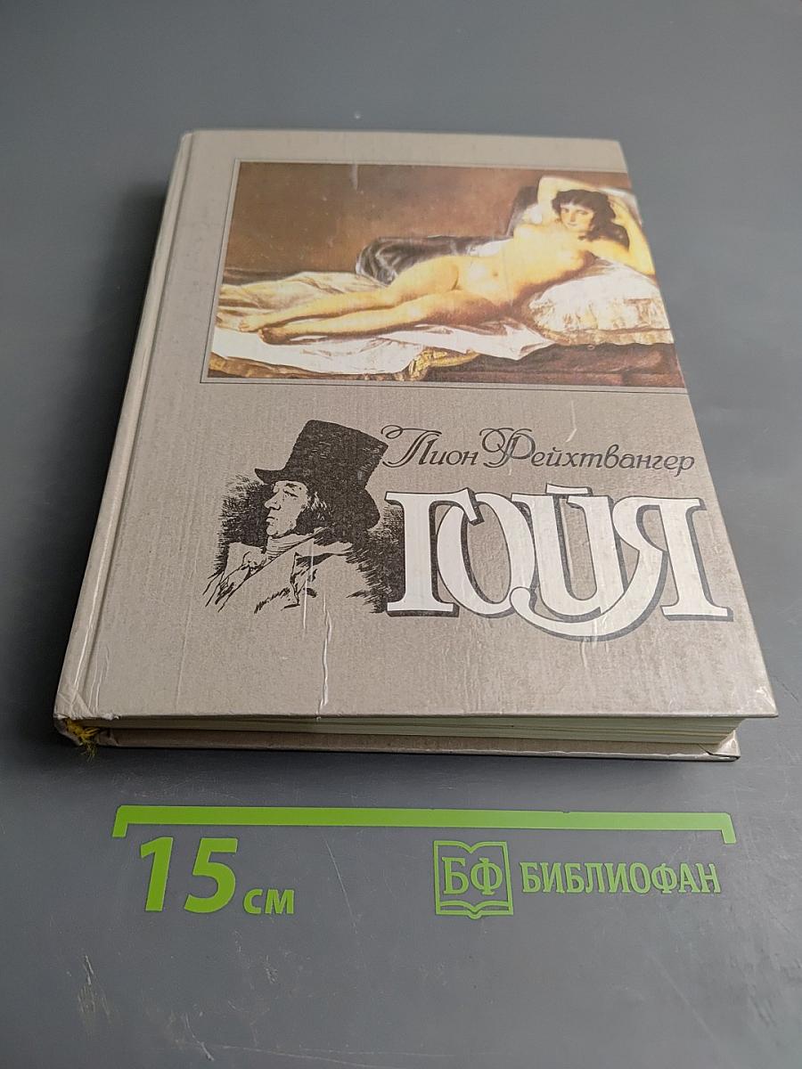 Гойя или тяжкий путь познания