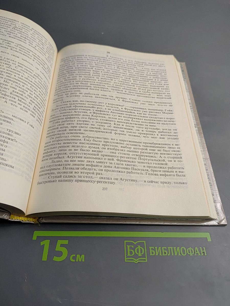 Гойя или тяжкий путь познания