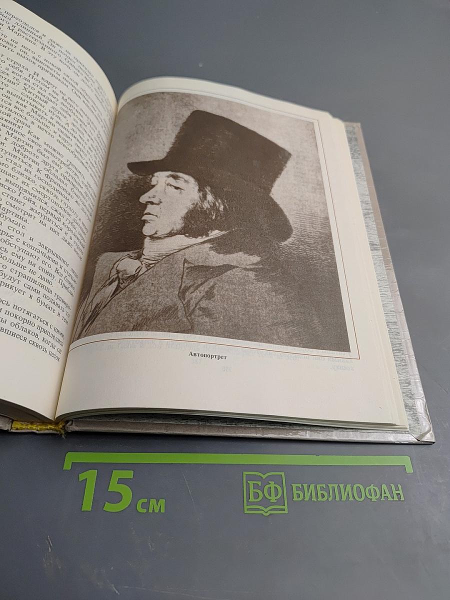 Гойя или тяжкий путь познания