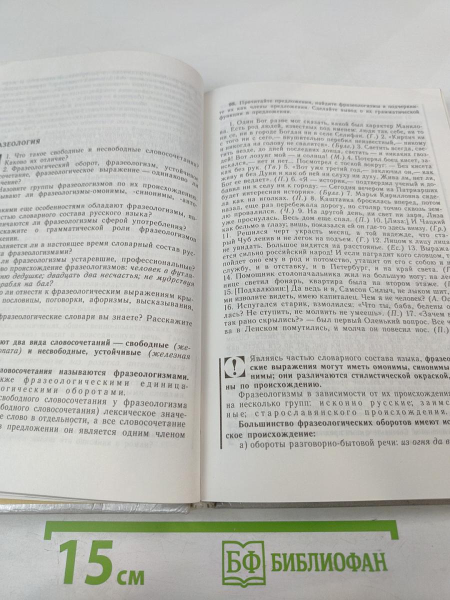 Русский язык: Грамматика. Текст. Стили речи. Учебное пособие для 10-11 классов