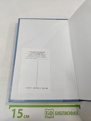 История русской литературы конца XIX – начала XX века. В двух томах. Том 1