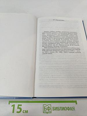 История русской литературы конца XIX – начала XX века. В двух томах. Том 1