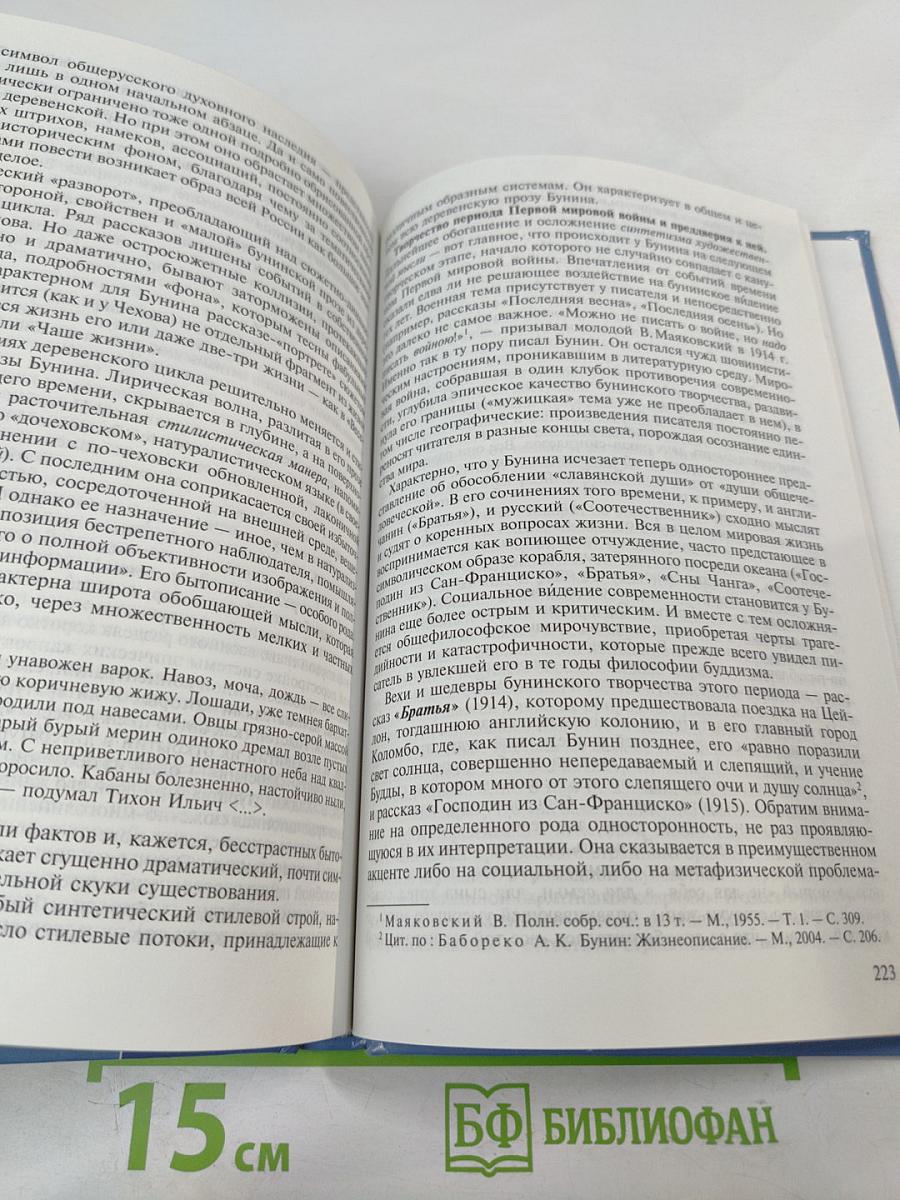 История русской литературы конца XIX – начала XX века. В двух томах. Том 1
