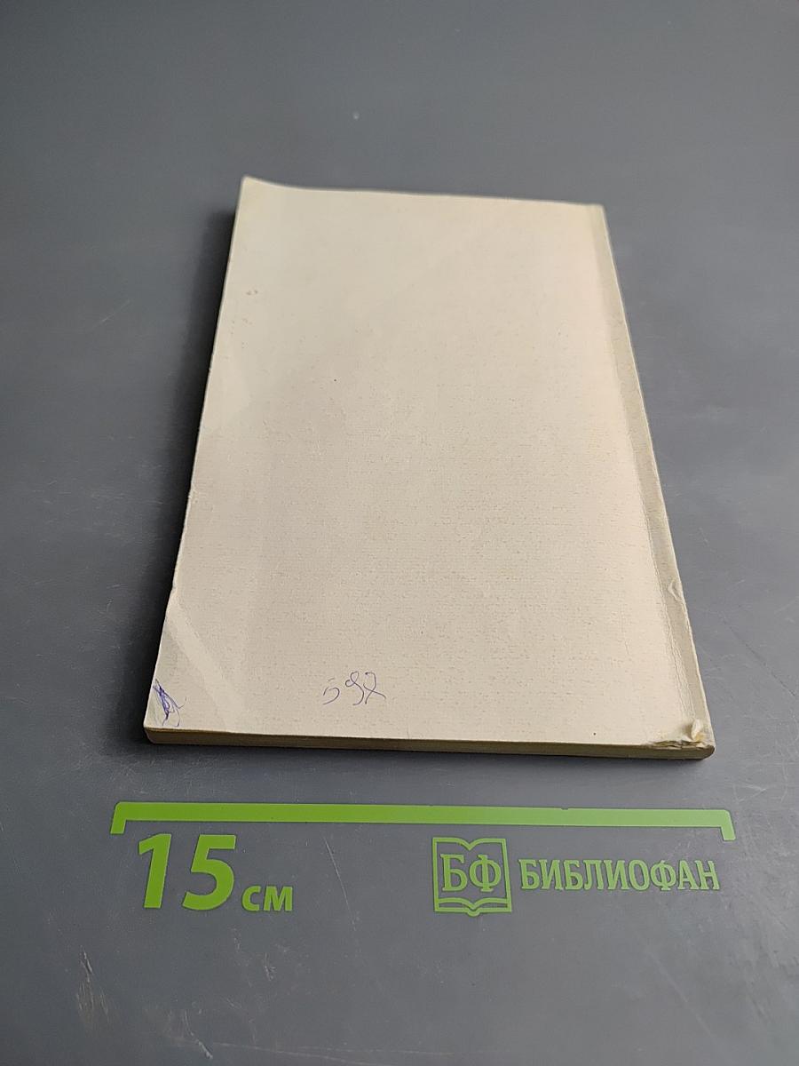 Мужчина в доме