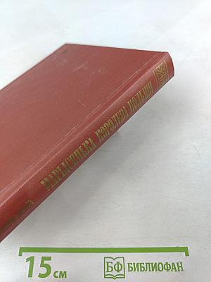 Марысенька Королева Польши