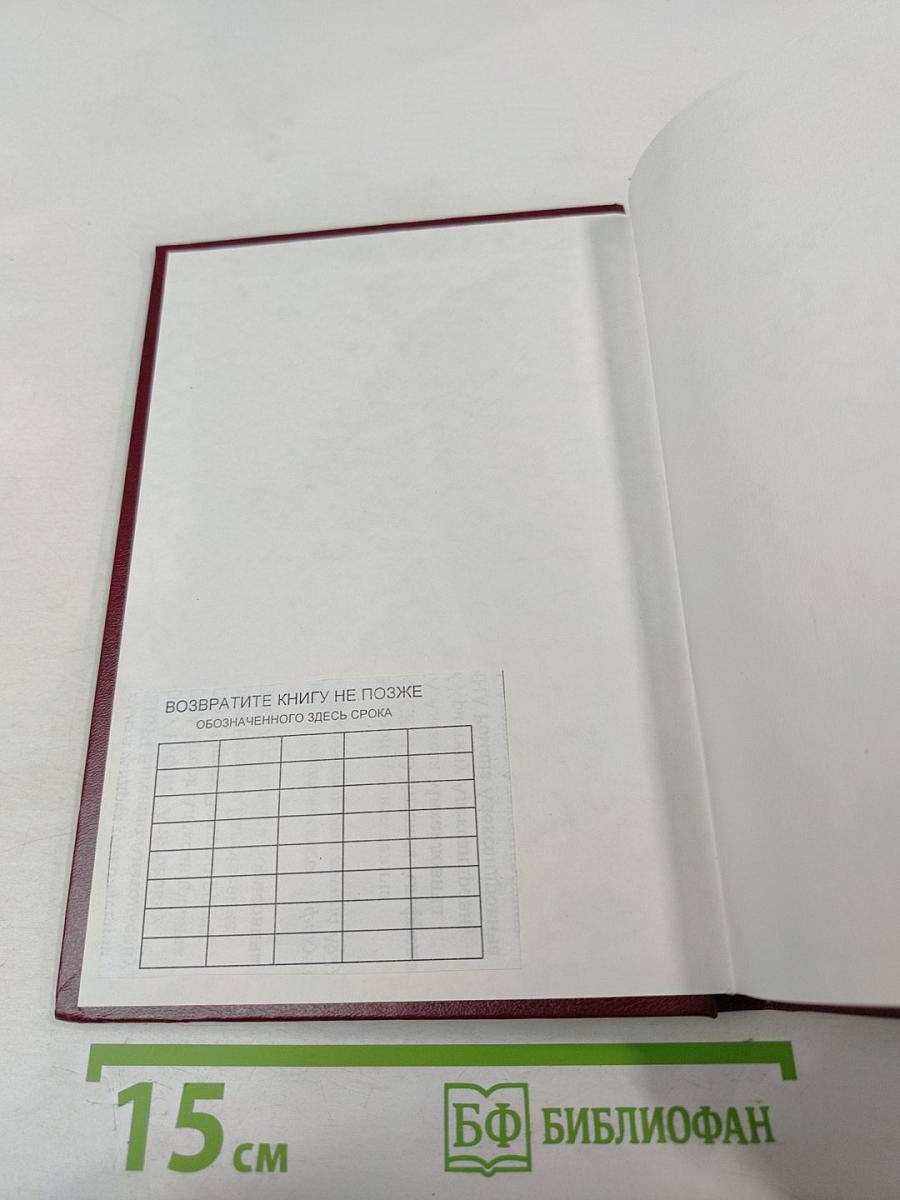 Российское уголовное законодательство. Опыт критического анализа