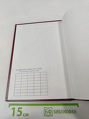 Российское уголовное законодательство. Опыт критического анализа