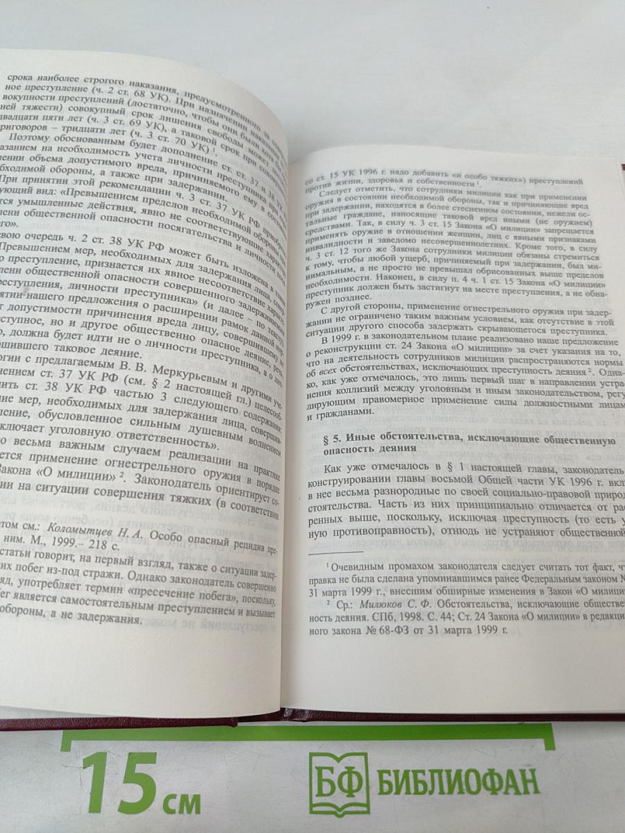 Российское уголовное законодательство. Опыт критического анализа