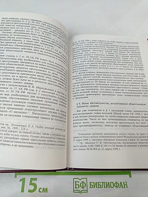 Российское уголовное законодательство. Опыт критического анализа