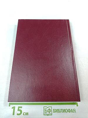 Российское уголовное законодательство. Опыт критического анализа