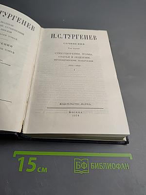 Сочинения. Том первый. Стихотворения, поэма, статьи и рецензии, прозаические наброски. 1834-1849