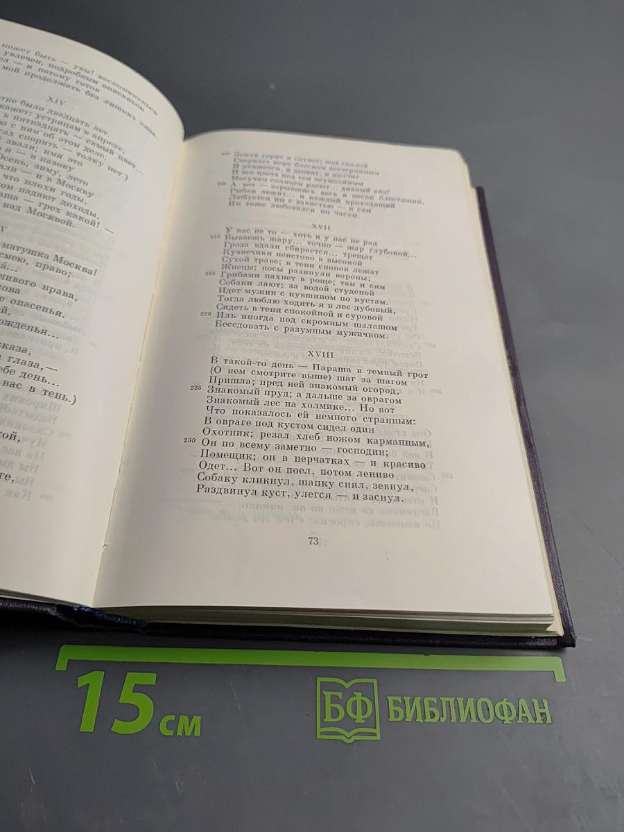 Сочинения. Том первый. Стихотворения, поэма, статьи и рецензии, прозаические наброски. 1834-1849