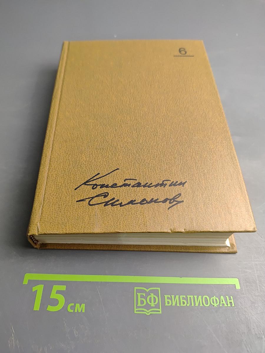 Собрание сочинений. Том 6. Живые и мертвые. Книга 3. Последнее лето