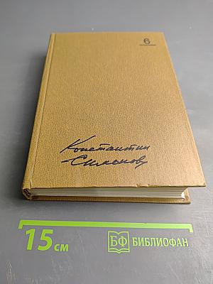 Собрание сочинений. Том 6. Живые и мертвые. Книга 3. Последнее лето