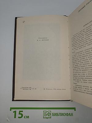 У Края Земли