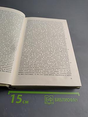 Полное собрание сочинений в тридцати томах. Художественные произведения. Том VI. Преступление и наказание