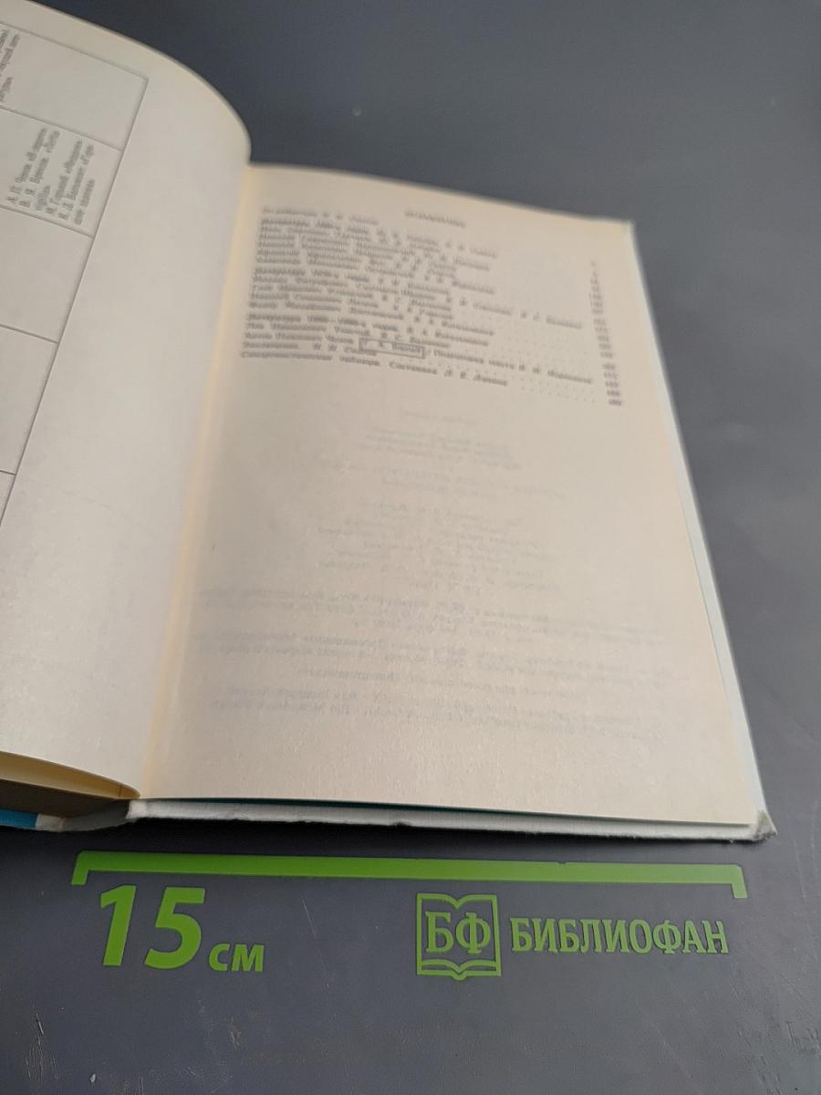 История русской литературы XIX века (Вторая половина)