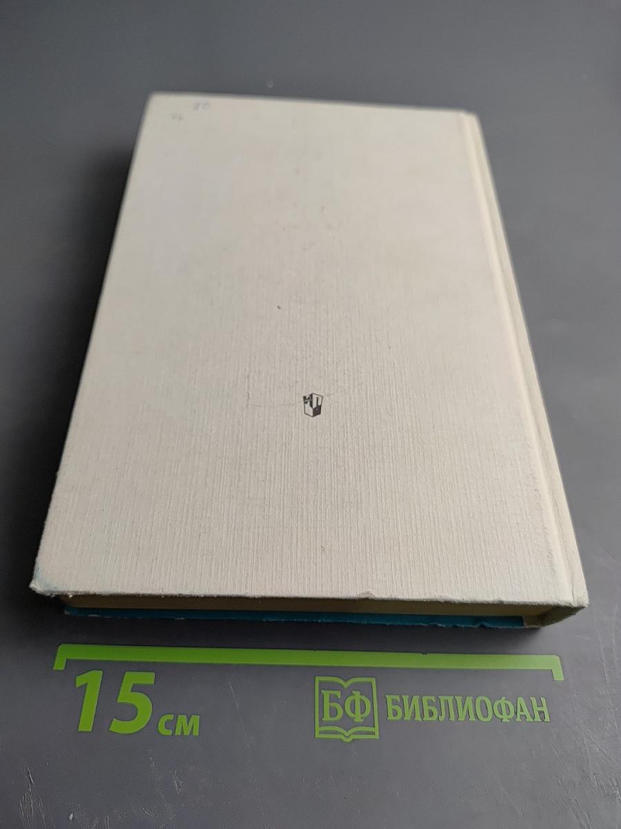 История русской литературы XIX века (Вторая половина)