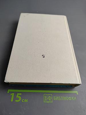 История русской литературы XIX века (Вторая половина)