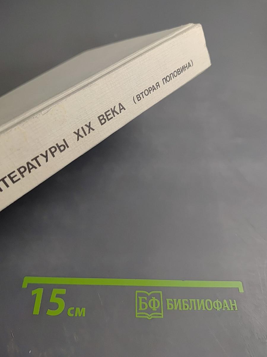 История русской литературы XIX века (Вторая половина)