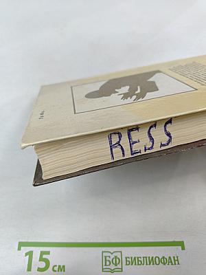 Неистовый странник