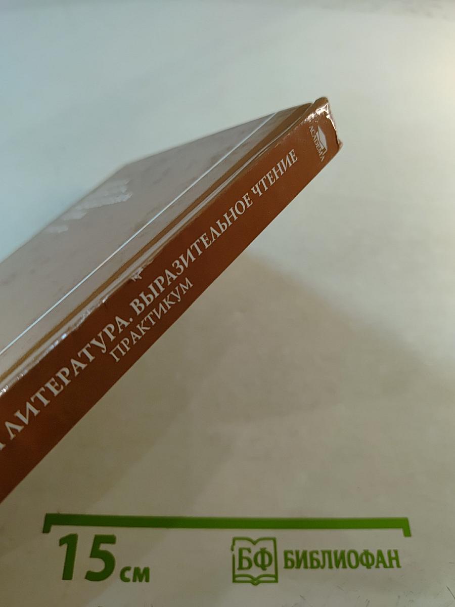 Детская литература. Выразительное чтение. Практикум