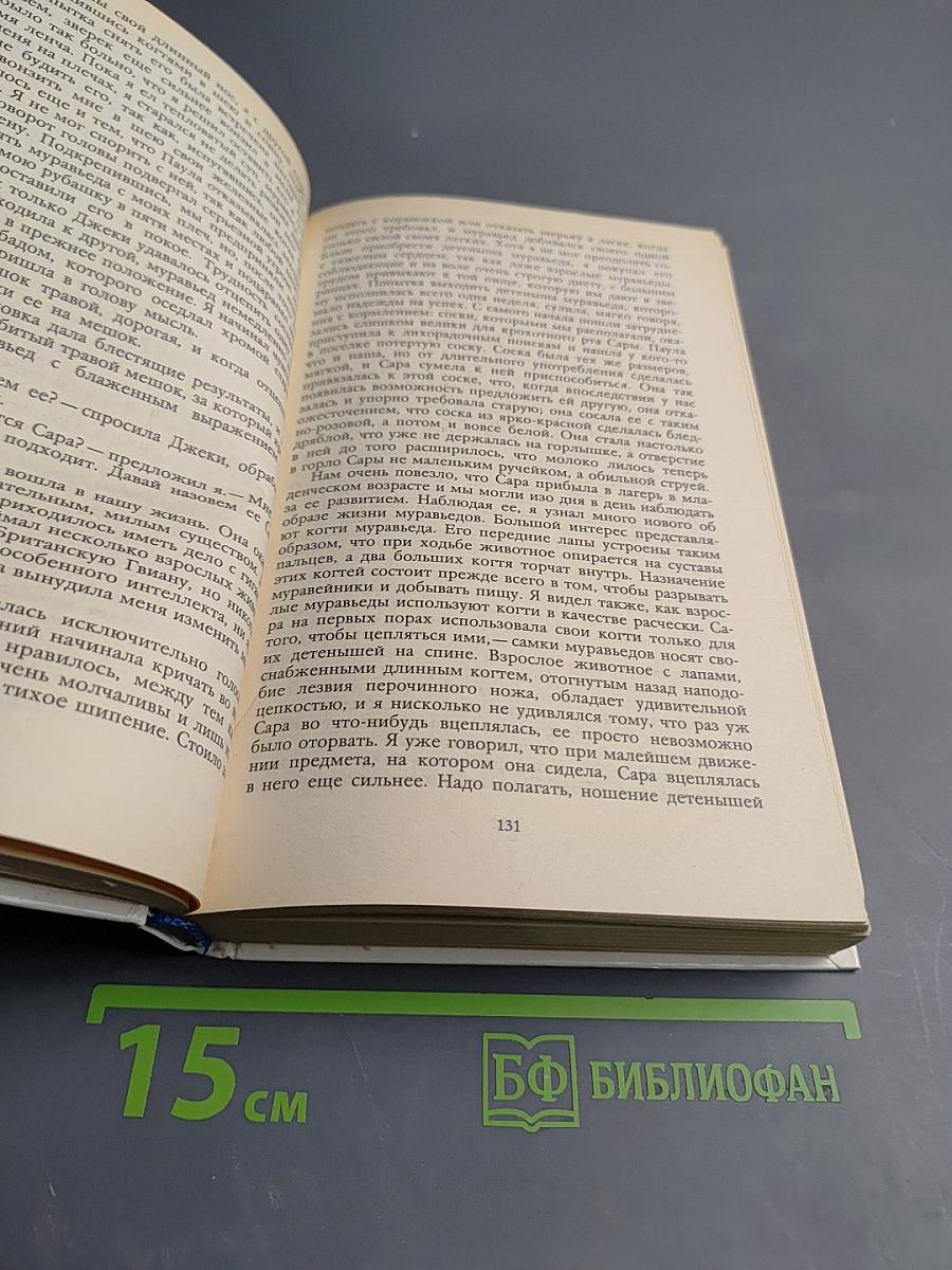 Под пологом пьяного леса