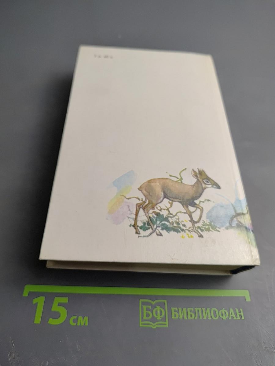 Под пологом пьяного леса