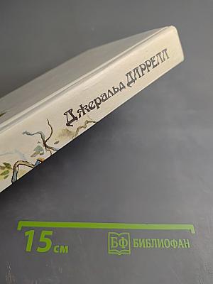 Под пологом пьяного леса