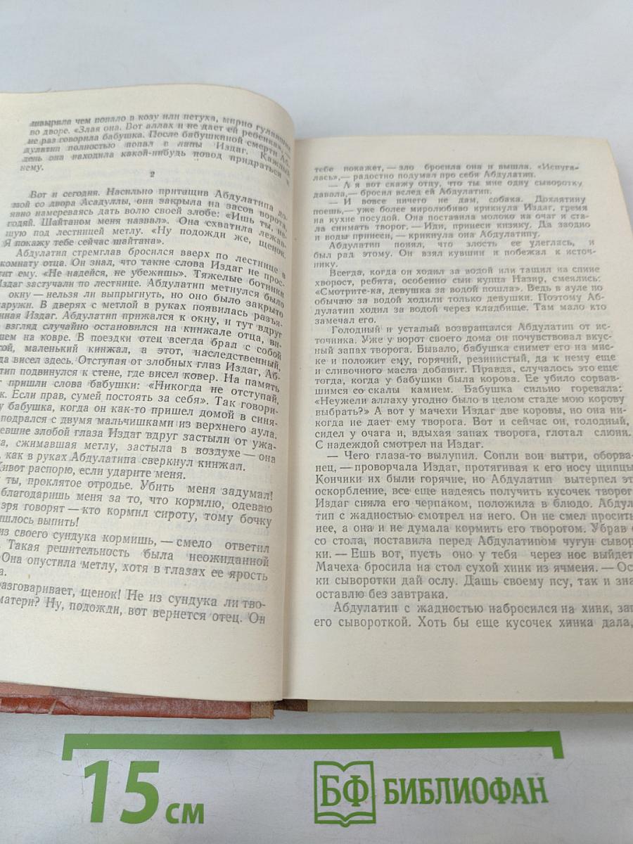 В Теснинах Гор