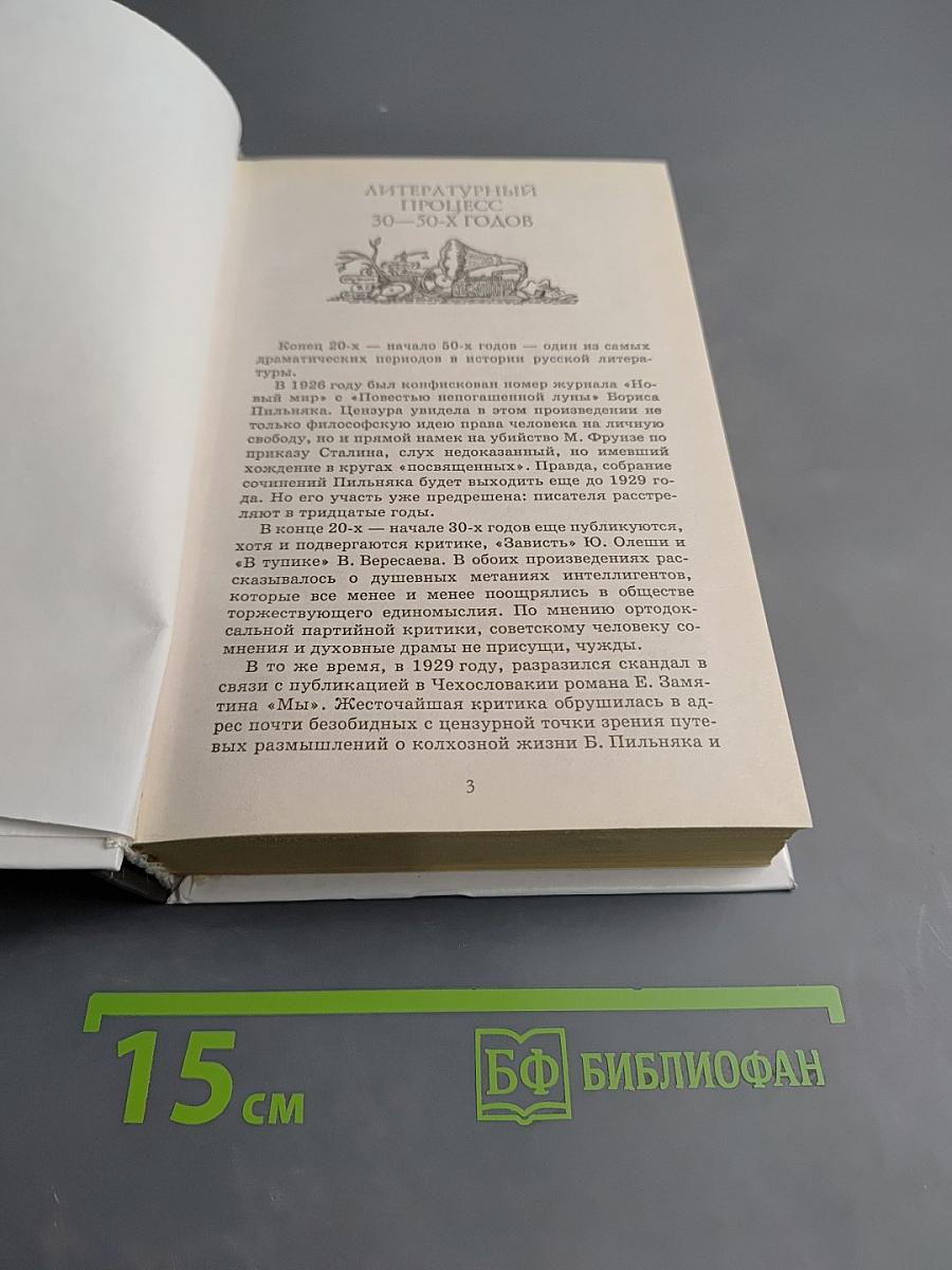 Русская литература XX века 11 класс, Часть 2