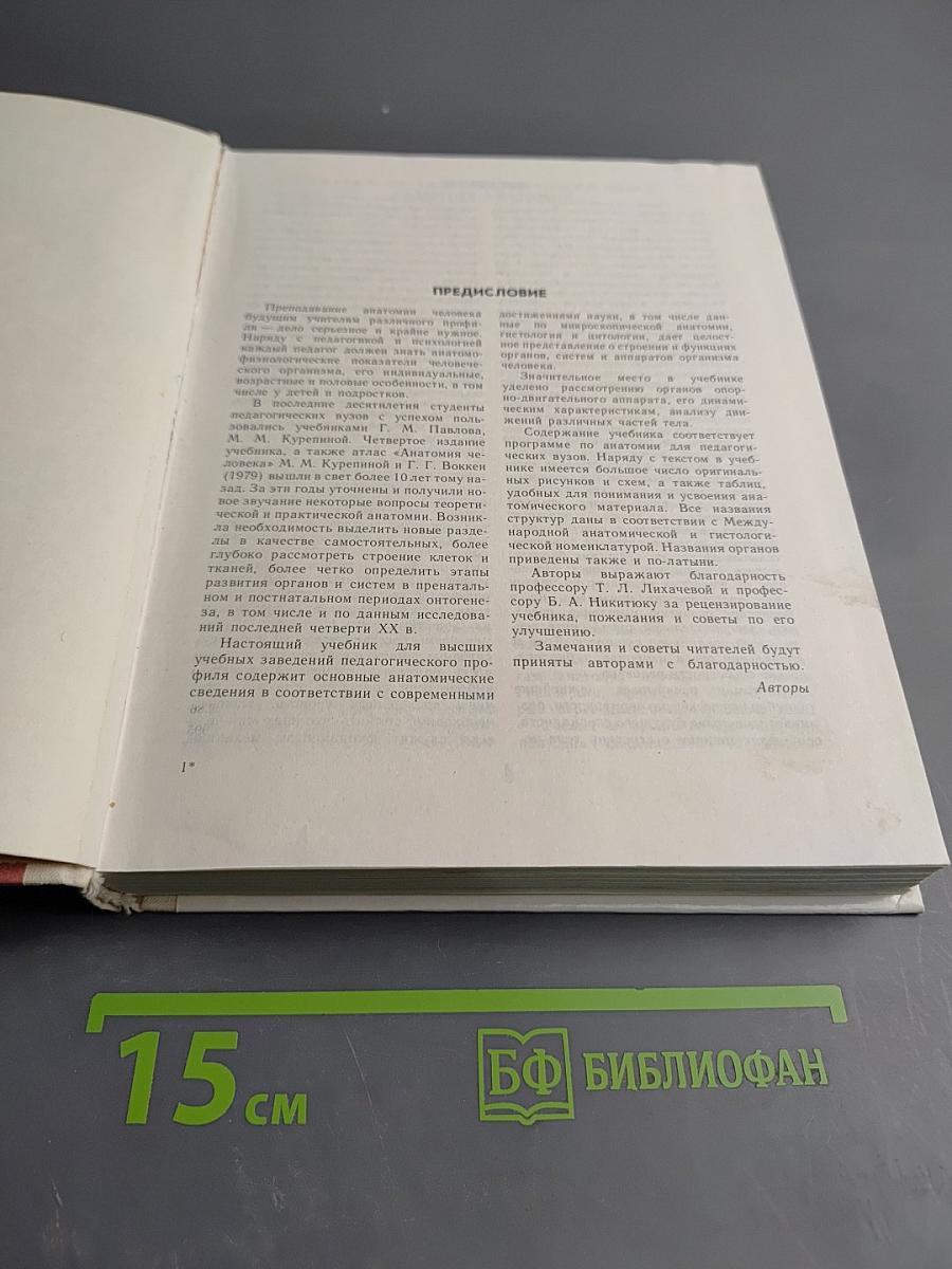 Анатомия человека