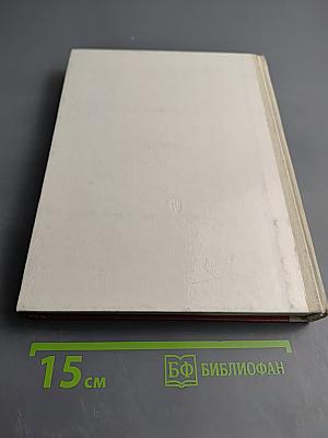 Анатомия человека