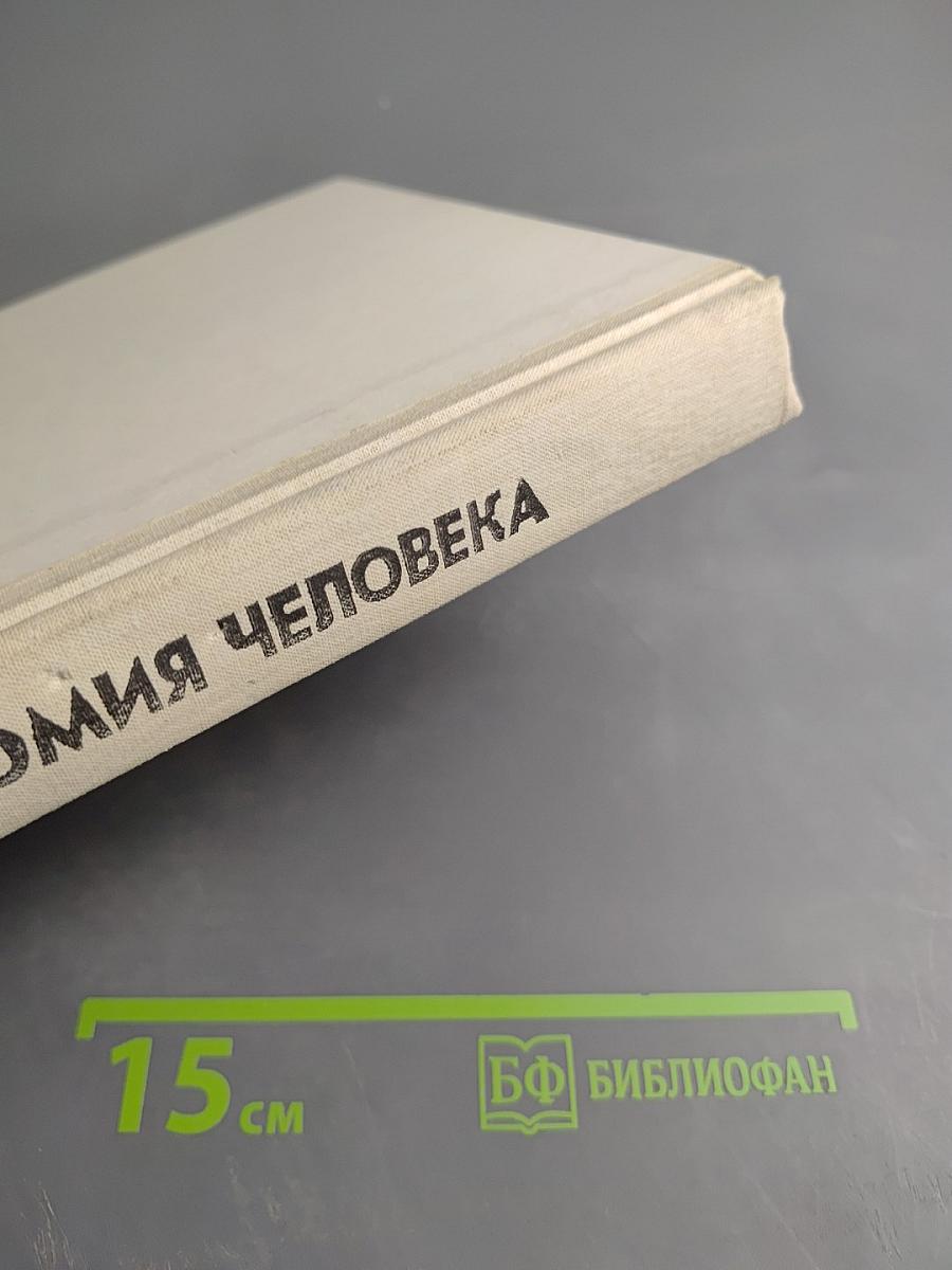 Анатомия человека