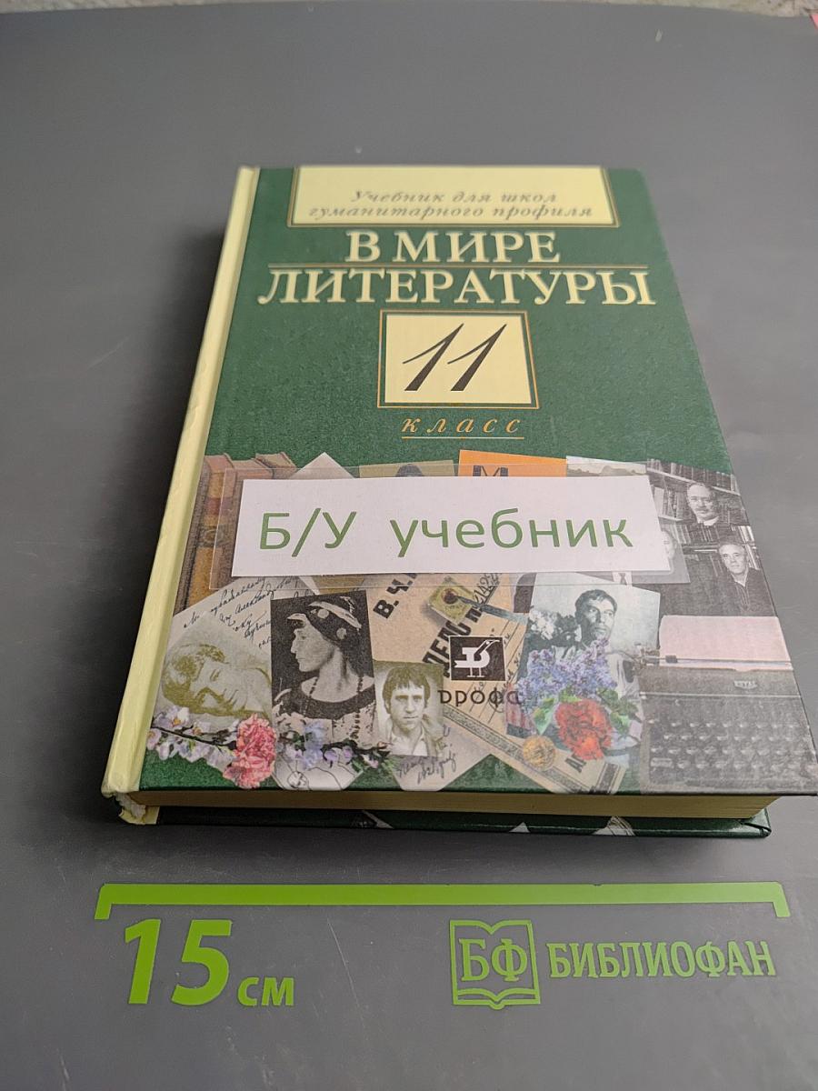 В мире литературы 11 класс