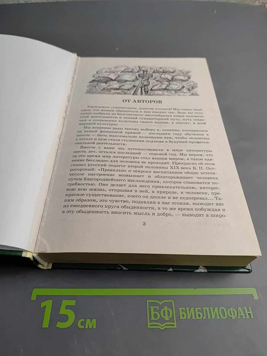 В мире литературы 11 класс