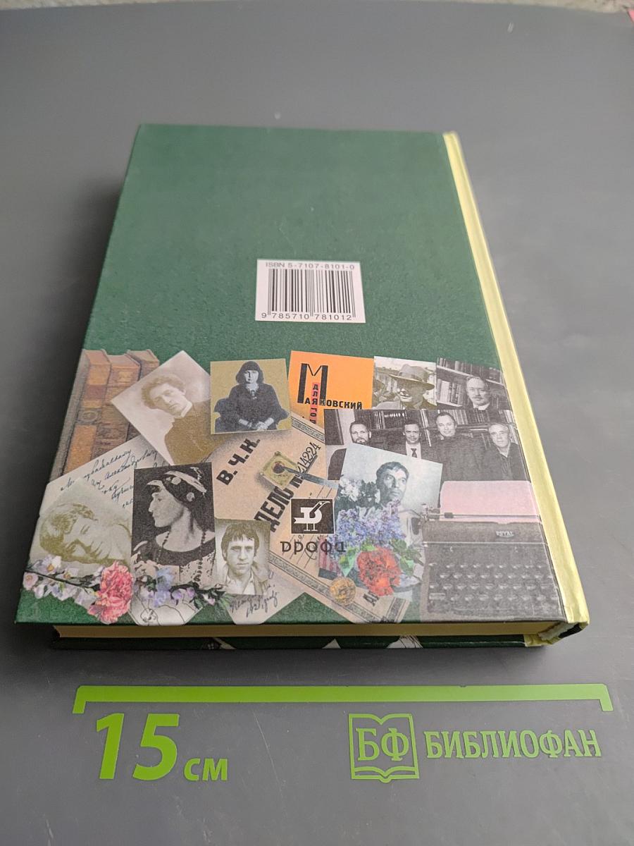 В мире литературы 11 класс