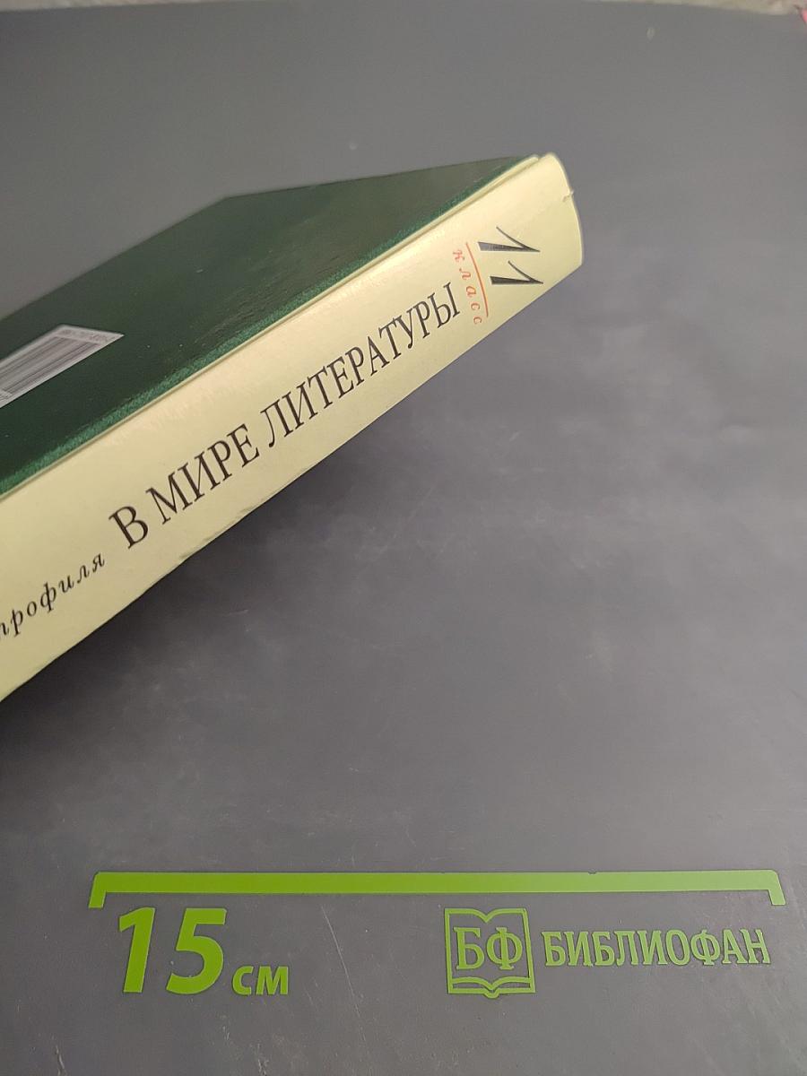 В мире литературы 11 класс