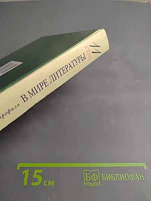 В мире литературы 11 класс