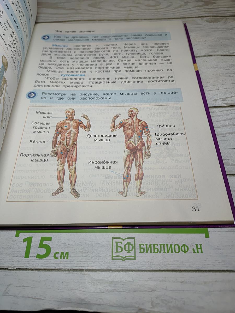 Физическая культура 3-4 классы
