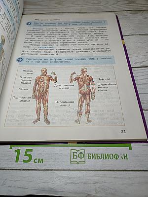 Физическая культура 3-4 классы