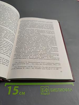 Российское уголовное законодательство: Опыт критического анализа