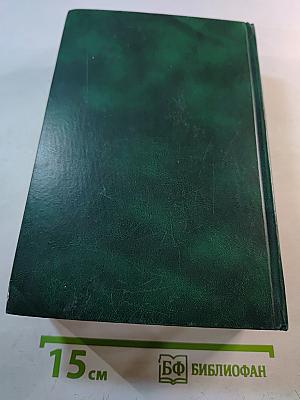 Экономическая информатика. Введение в экономический анализ информационных систем. Учебник