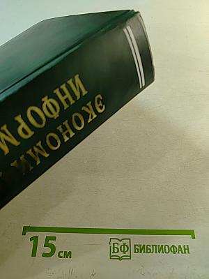 Экономическая информатика. Введение в экономический анализ информационных систем. Учебник