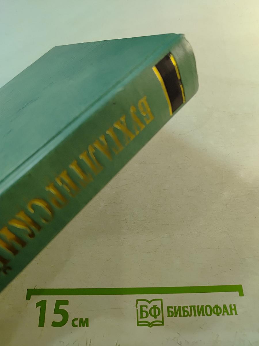 Бухгалтерский учет