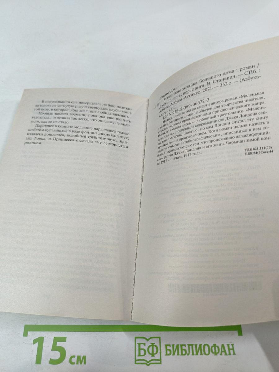 Маленькая хозяйка Большого дома