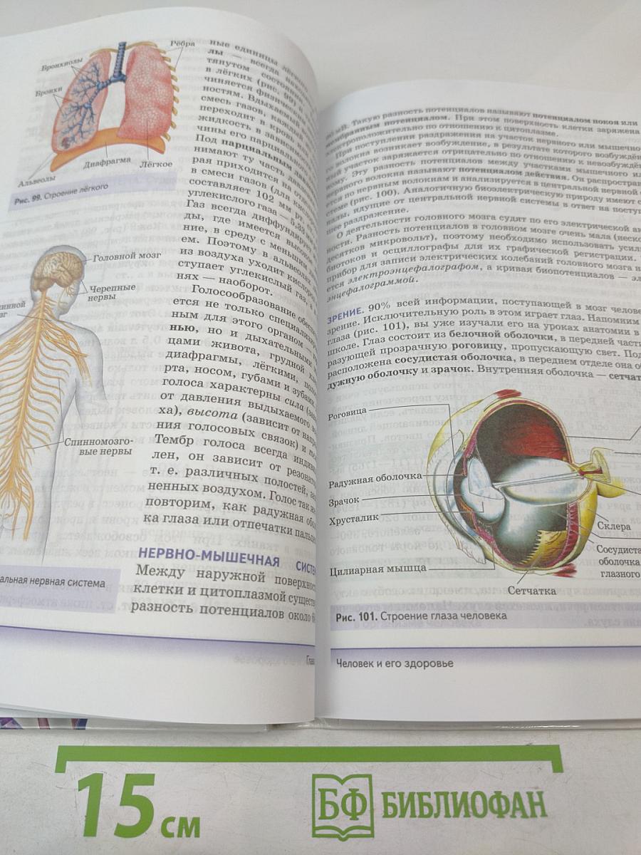 Естествознание. Базовый уровень. 11 класс